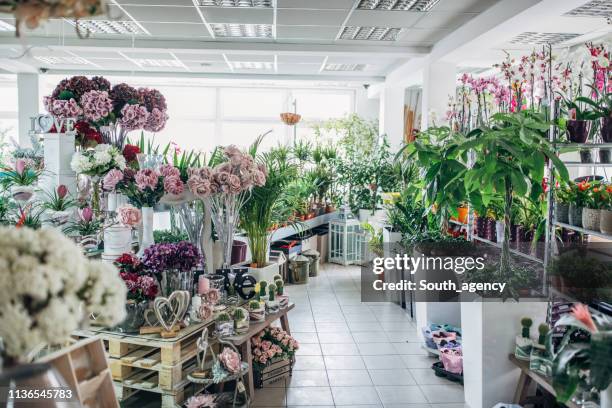 stadtblumenladen - florist stock-fotos und bilder