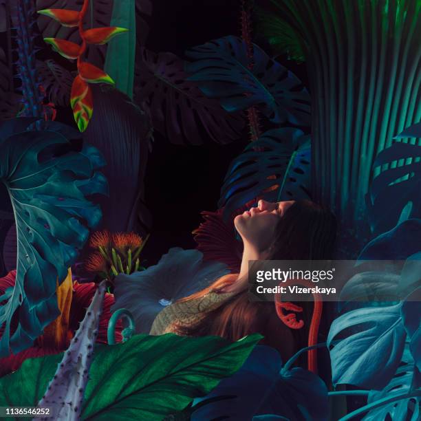 surreal djungel porträtt - fantasy portrait bildbanksfoton och bilder