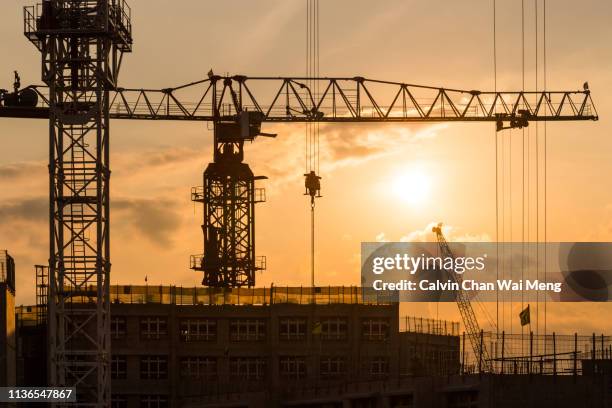 cranes at construction site - baustelle gerüst sonne stock-fotos und bilder