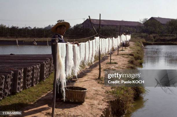 Séchage des nouilles de riz à Changsha, dans la province du Hunan, Chine.