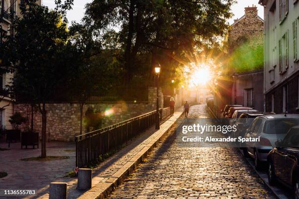 sun shining through the trees on the cobblestone street in paris, france - centre ville france photos et images de collection