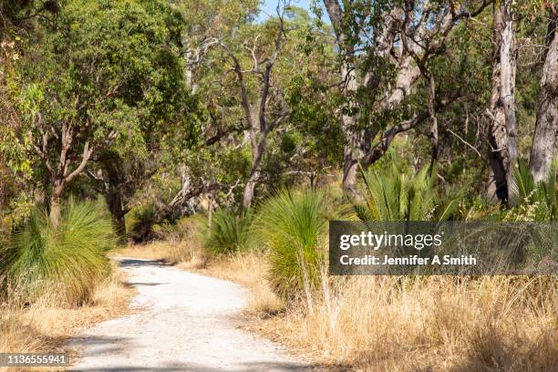 bush walk - hiking australia stock pictures, royalty-free photos & images