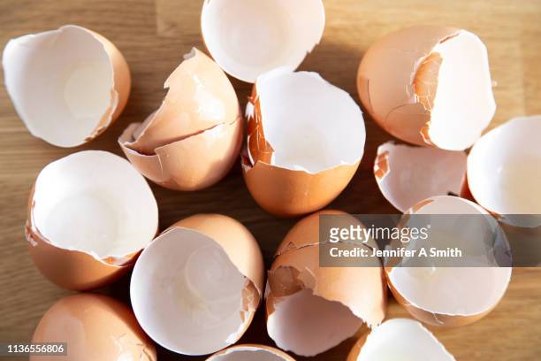 egg shells - eggshell stock pictures, royalty-free photos & images