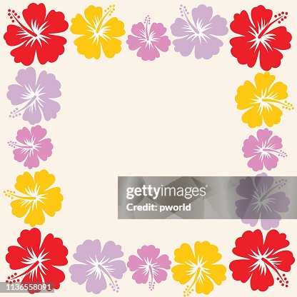 芙蓉框架。 芙蓉框架。