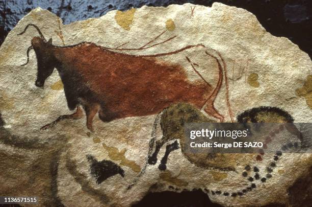 Peintures rupestres de la grotte de Lascaux, à Montignac, en Dordogne, France.