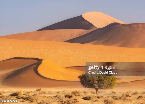 the namib desert sand dunes, sossusvlei, namibia, africa - sand dune stock pictures, royalty-free photos & images