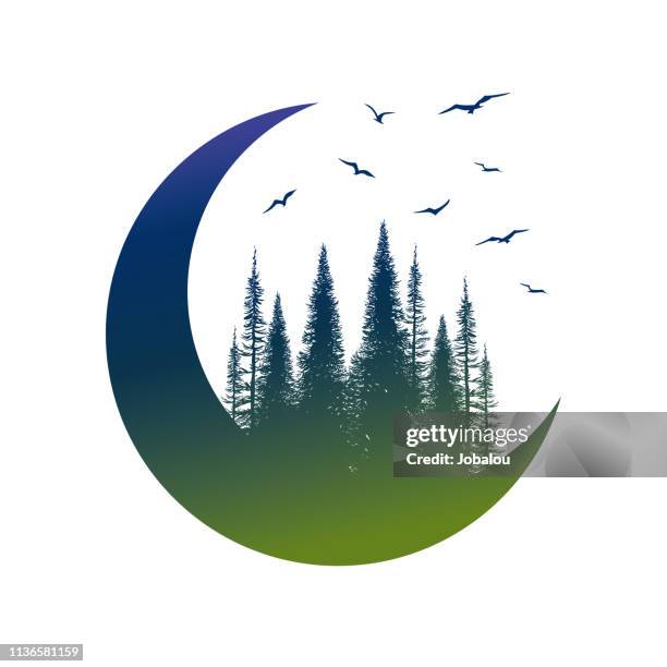 travel badge with pine trees birds and moon - forestry worker stock illustrations