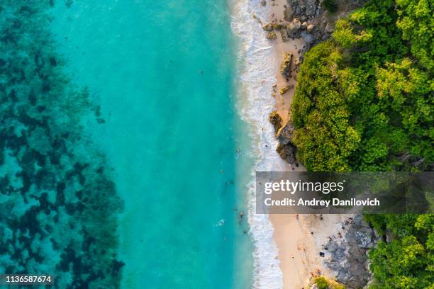 bali-playa desde arriba. el dron recto disparó - bali fotografías e imágenes de stock