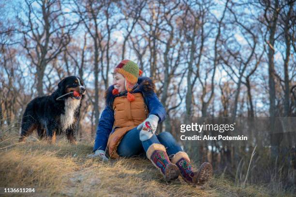 die reife 55-jährige frau, die mit dem zennenhund-hund im wald spielt - 55 years old stock-fotos und bilder