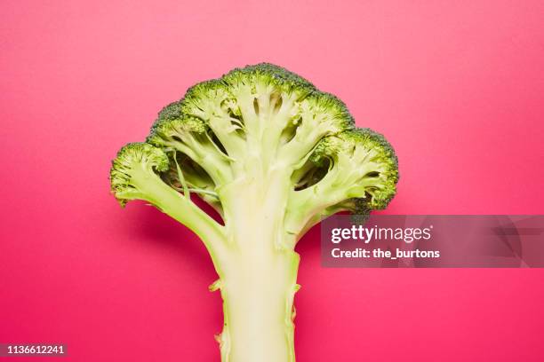 still life of sliced broccoli on pink background - broccoli stock pictures, royalty-free photos & images