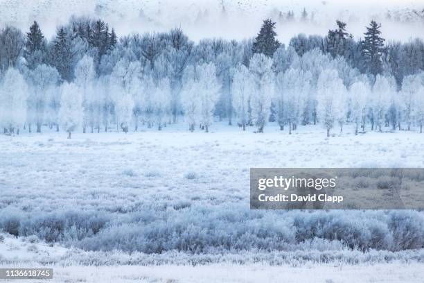 15,598 Yellowstone National Park Landscape Stock Photos, High-Res