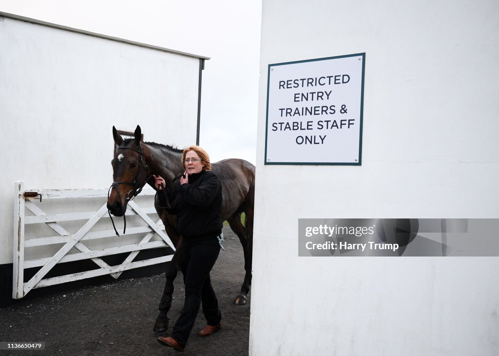 Exeter Trail Races A horse is led back to the stables after the Totnes And Bridgetown ...