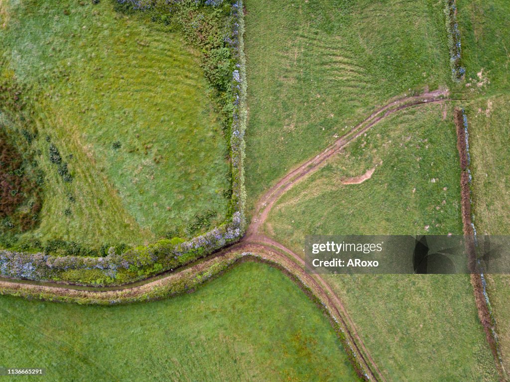Drone view of typical azores landscape coastal with cows in a rural aerial view. Bird eye view, aerial panoramic point of view. Portugal scenic destination.