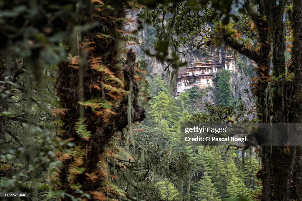 Taktsang monastery (Tiger's Nest) through the forest, Bhutan