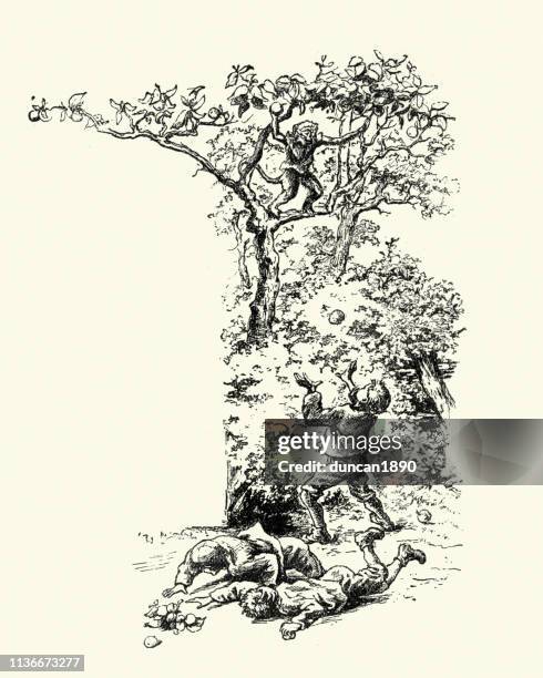 victorian pet monkey throwing apples at boys, 19th century - kid teasing stock illustrations