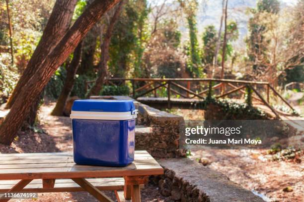 plastic fridge in a picnic area in a forest.  spain jaen province. - クーラーボックス ストックフォトと画像