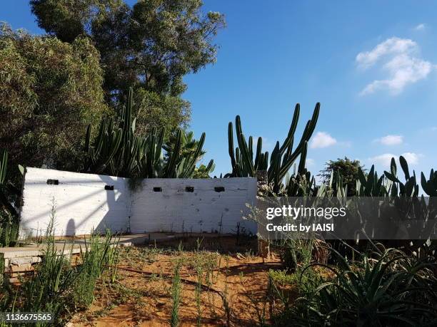 a tribute to the pionners, reconstruction of tower and stockade in kibbutz tel yitzhak - arab israeli conflict stock pictures, royalty-free photos & images