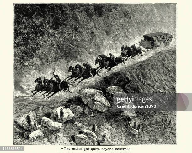 kutsche, gezogen von maultieren durch einen bergpass, viktorianisch - runaway vehicle stock-grafiken, -clipart, -cartoons und -symbole