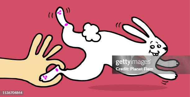 Rabbit Feet Cartoon High Res Illustrations - Getty Images