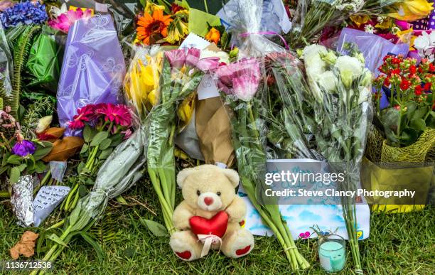 flowers and a teddy bear - trubute stock pictures, royalty-free photos & images