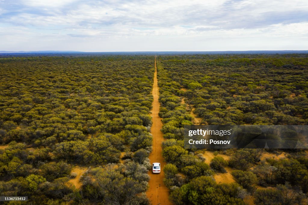 Driving through the bush land