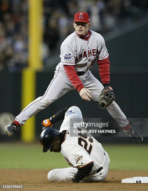 Anaheim Angels' David Eckstein throws to first as San Francisco Giants' Barry Bonds tries to break up the double play from an infield ground ball hit...