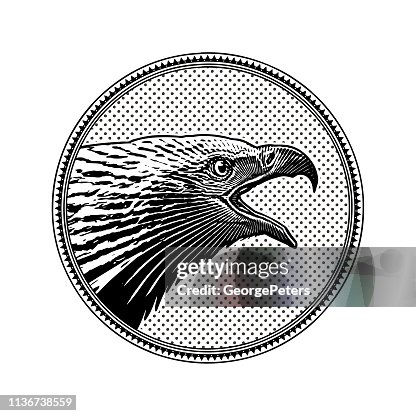Eagle Rounded Image Bald Eagle Head In Circle Frame High-Res Vector Graphic - Getty Images
