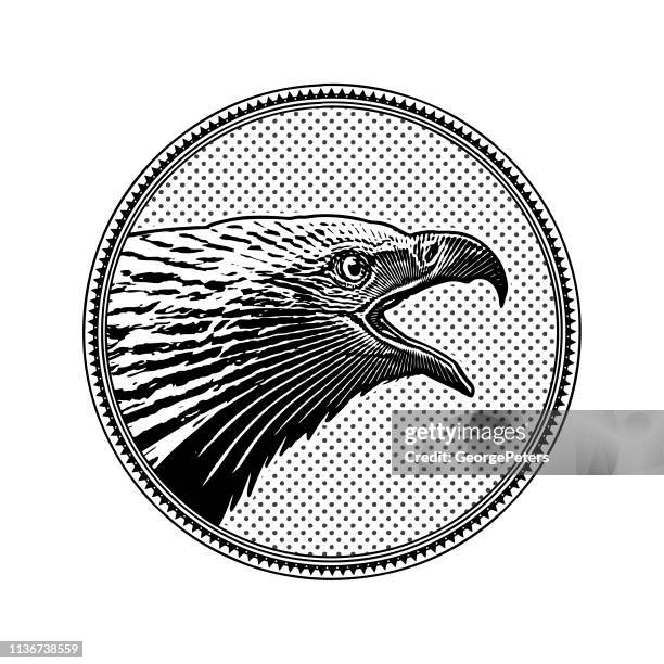 bald eagle head in circle frame - bald eagle head stock illustrations