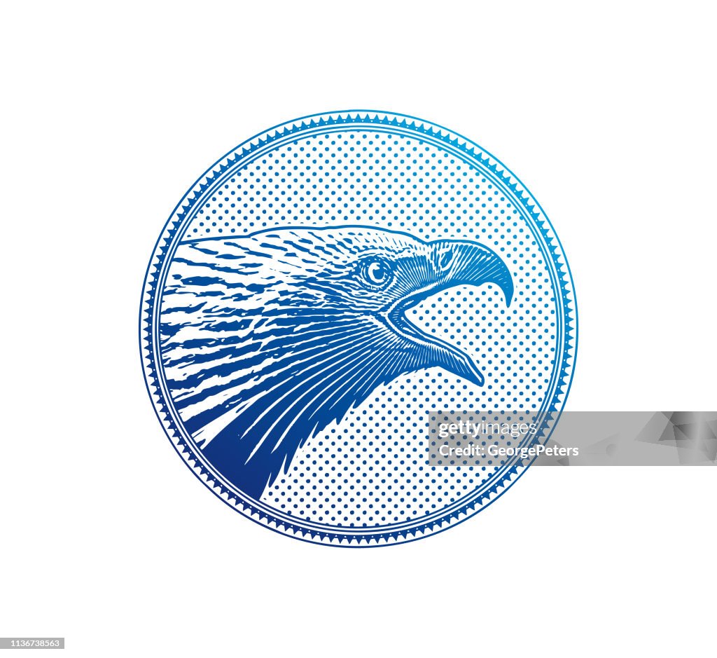 Eagle Rounded Image Bald Eagle Head In Circle Frame High-Res Vector Graphic - Getty Images