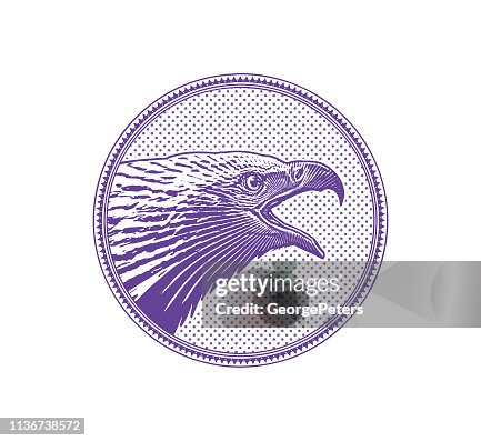Eagle Rounded Image Bald Eagle Head In Circle Frame High-Res Vector Graphic - Getty Images