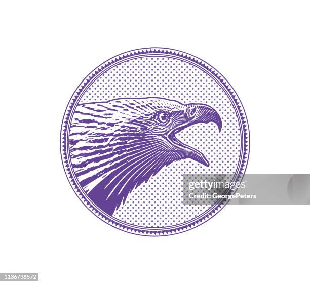 bald eagle head in circle frame - bald eagle head stock illustrations