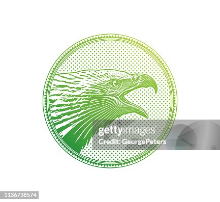 Eagle Rounded Image Bald Eagle Head In Circle Frame High-Res Vector Graphic - Getty Images