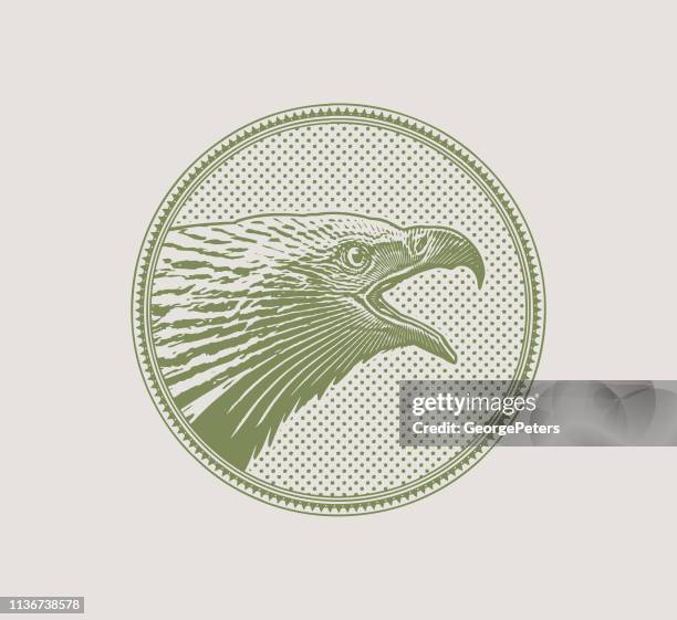 bald eagle head in circle frame - bald eagle head stock illustrations