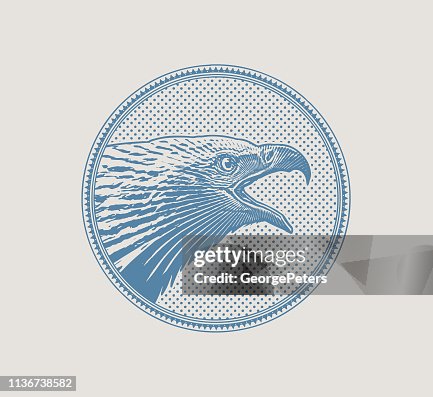 Eagle Rounded Image Bald Eagle Head In Circle Frame High-Res Vector Graphic - Getty Images