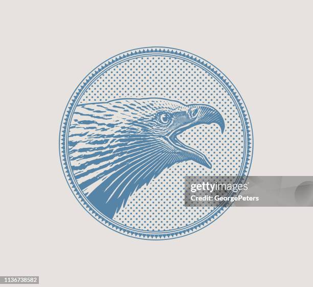bald eagle head in circle frame - bald eagle head stock illustrations
