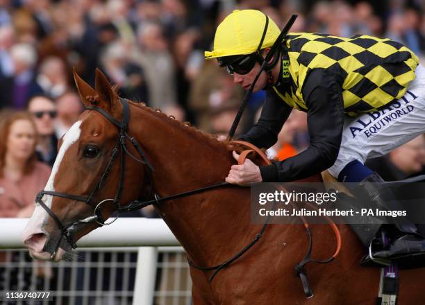 Raise You and Oisin Murphy win Division II of The Dubai Duty Free Tennis Championships Maiden Stakes Race run during day two of the Dubai Duty Free...