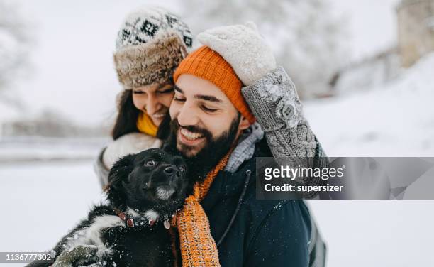 couple in the snow play with dog - knit hat stock pictures, royalty-free photos & images