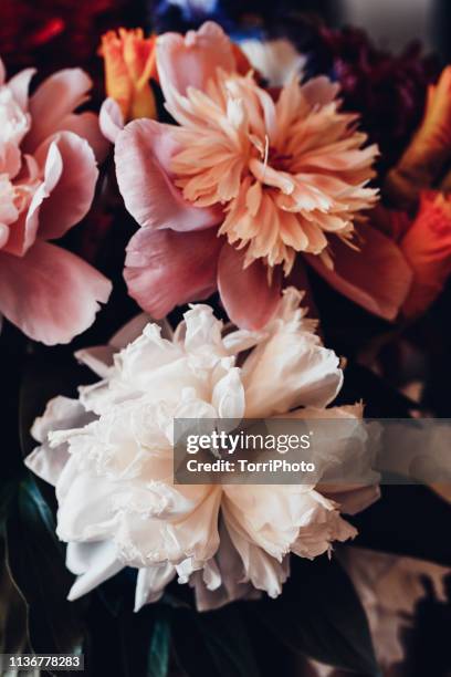 closeup peony bouquet in vintage tone - botany stock pictures, royalty-free photos & images