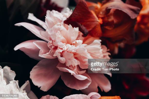 closeup peony bouquet in vintage tone - peony bouquet stock pictures, royalty-free photos & images