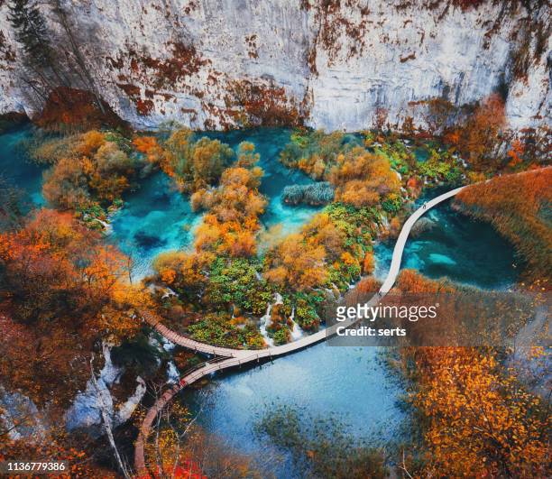 beautiful landscape in plitvice lake, croatia - croatia stock pictures, royalty-free photos & images