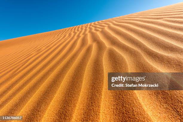 simpson desert, central australia, australia. - simpson desert imagens e fotografias de stock