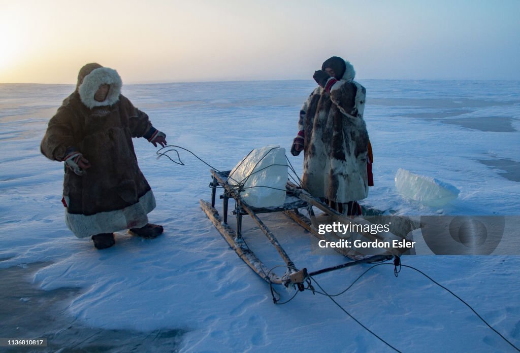 Nenets collecting ice.