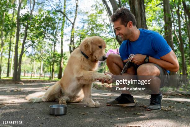 glückliches mann-training mit seinem hund im park - animal trainer stock-fotos und bilder