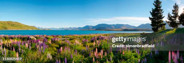 lake tekapo panoramic - panoramic landscape stock pictures, royalty-free photos & images