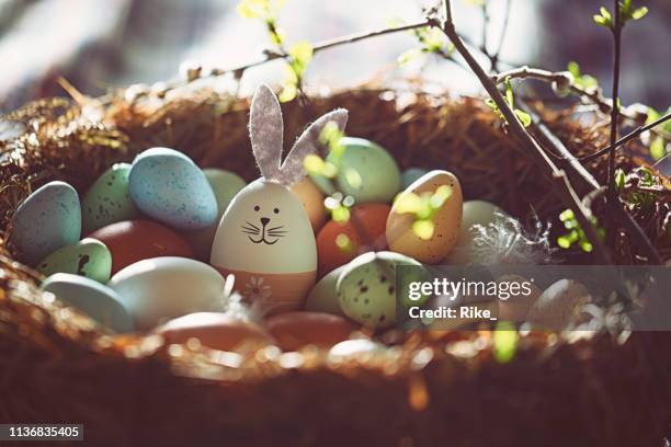 décoration de pâques avec le lapin de pâques conçu dans le nid ensoleillé - oeufs photos et images de collection