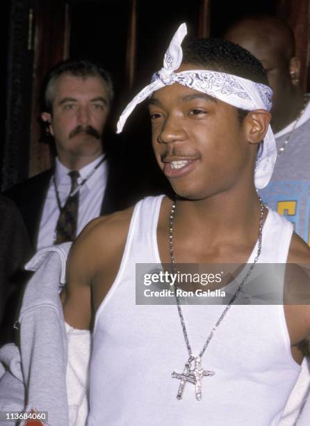 Ja Rule Chain 56 Ja Rule 2000 Stock Photos, High-Res Pictures, and Images - Getty Images