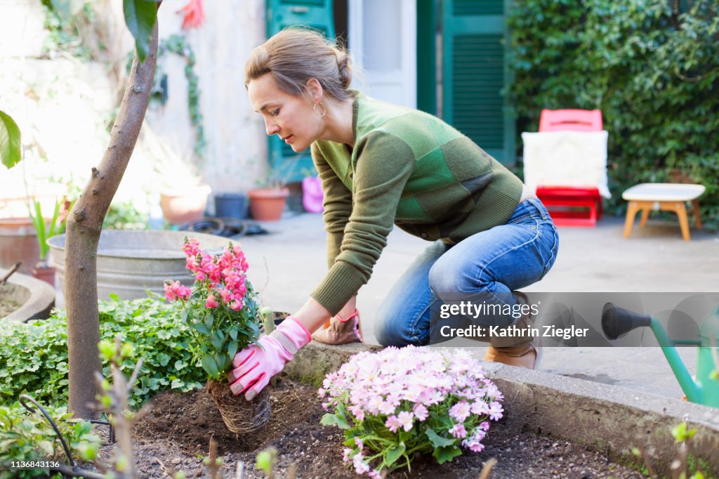 Woman planting flowers in her backyard, Rome, Italy