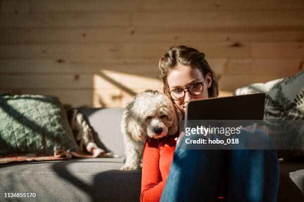 彼女のプードル犬の会社で家で絵を描くアーティスト - millennials working ストックフォトと画像
