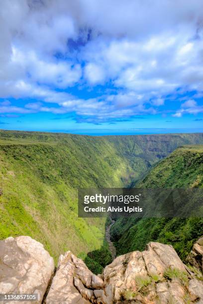 elevated view towards waipio valley across waimanu valley in hawaii - waimea valley bildbanksfoton och bilder