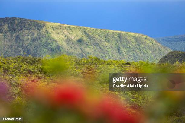 view towards waipio valley with akona ridge prominent in hawaii - waimea valley bildbanksfoton och bilder